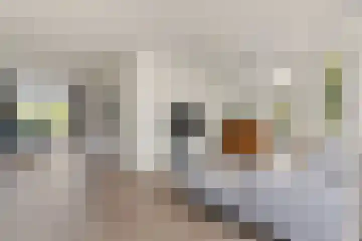 IJsvogel 11 Sliedrecht thumbnail 7