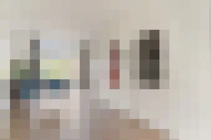IJsvogel 11 Sliedrecht thumbnail 9