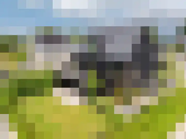 IJsvogel 12 Muiden