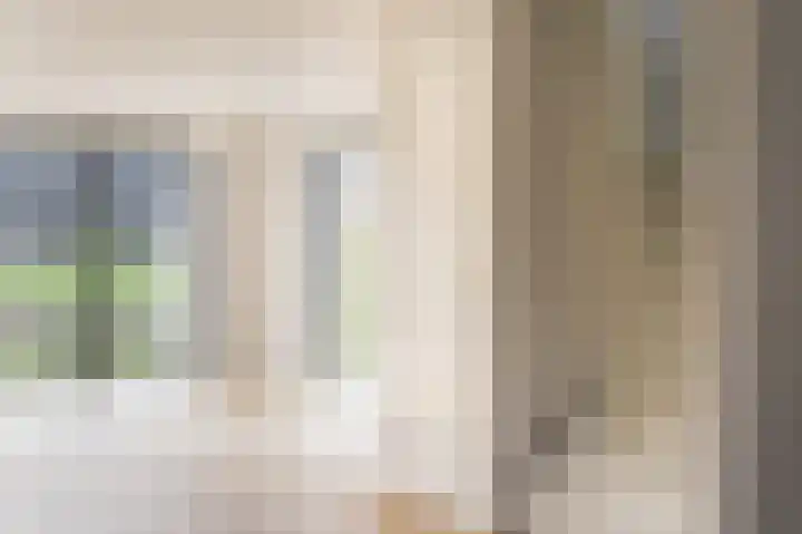 IJsvogel 12 Muiden thumbnail 10