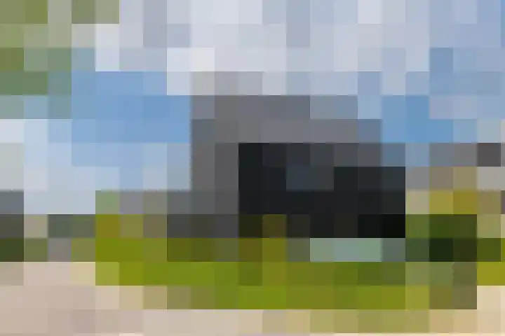 IJsvogel 12 Muiden thumbnail 12