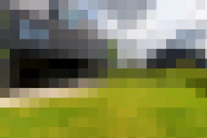 IJsvogel 12 Muiden thumbnail 13