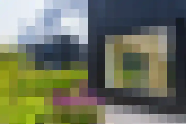 IJsvogel 12 Muiden thumbnail 15