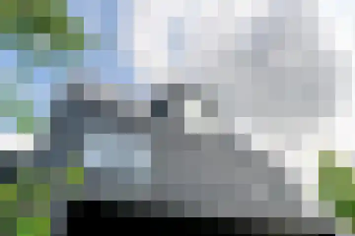 IJsvogel 12 Muiden thumbnail 16