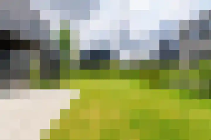 IJsvogel 12 Muiden thumbnail 17