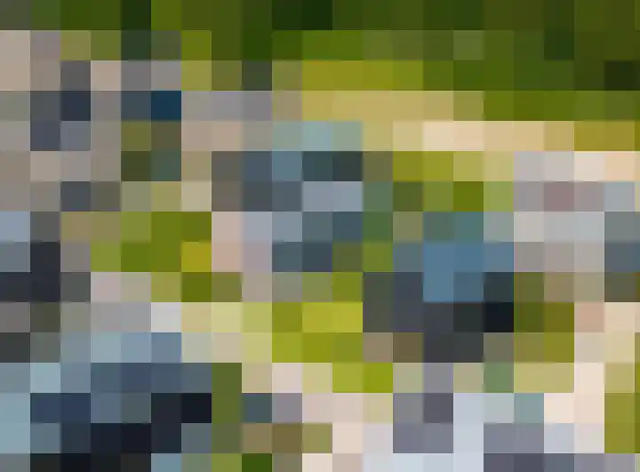 IJsvogel 12 Muiden thumbnail 20