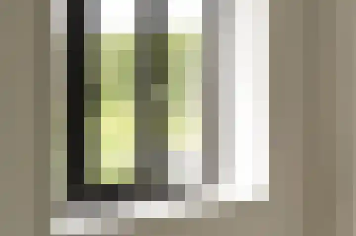IJsvogel 12 Muiden thumbnail 23