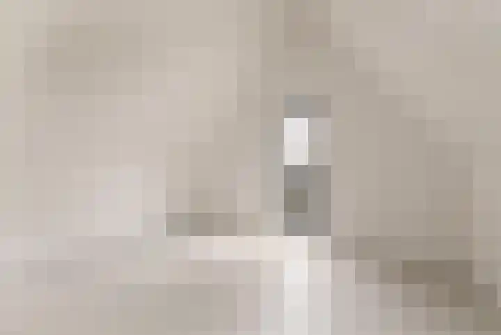 IJsvogel 12 Muiden thumbnail 30