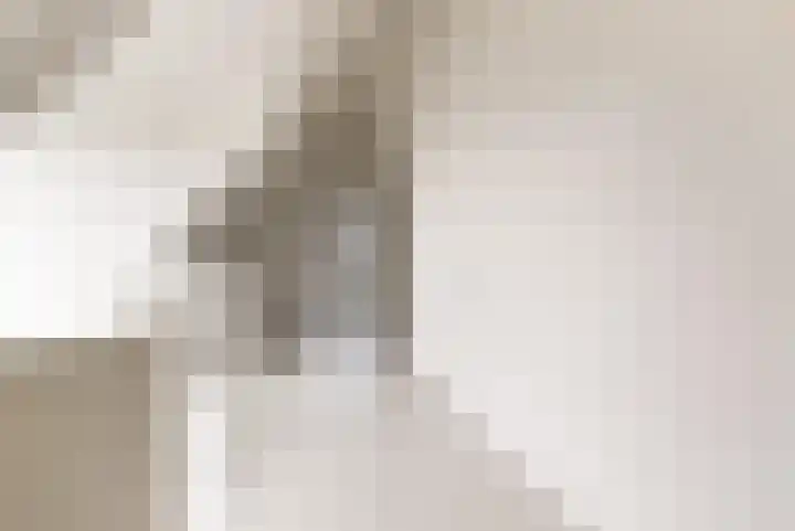 IJsvogel 12 Muiden thumbnail 31