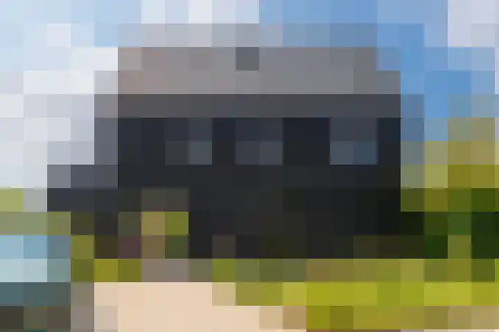 IJsvogel 12 Muiden thumbnail 32