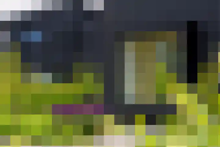 IJsvogel 12 Muiden thumbnail 34