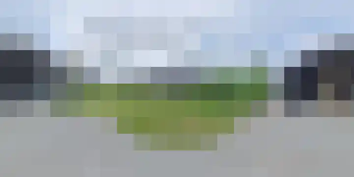 IJsvogel 12 Muiden thumbnail 51