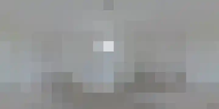 IJsvogel 12 Muiden thumbnail 53