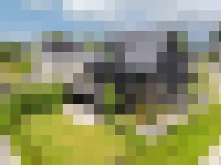 IJsvogel 12 Muiden thumbnail 54