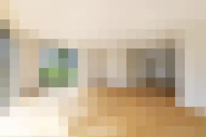 IJsvogel 12 Muiden thumbnail 7