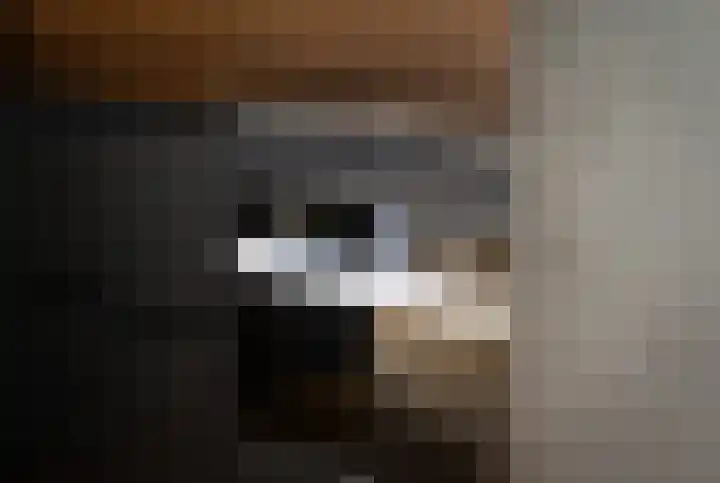 IJsvogel 12 Muiden thumbnail 9