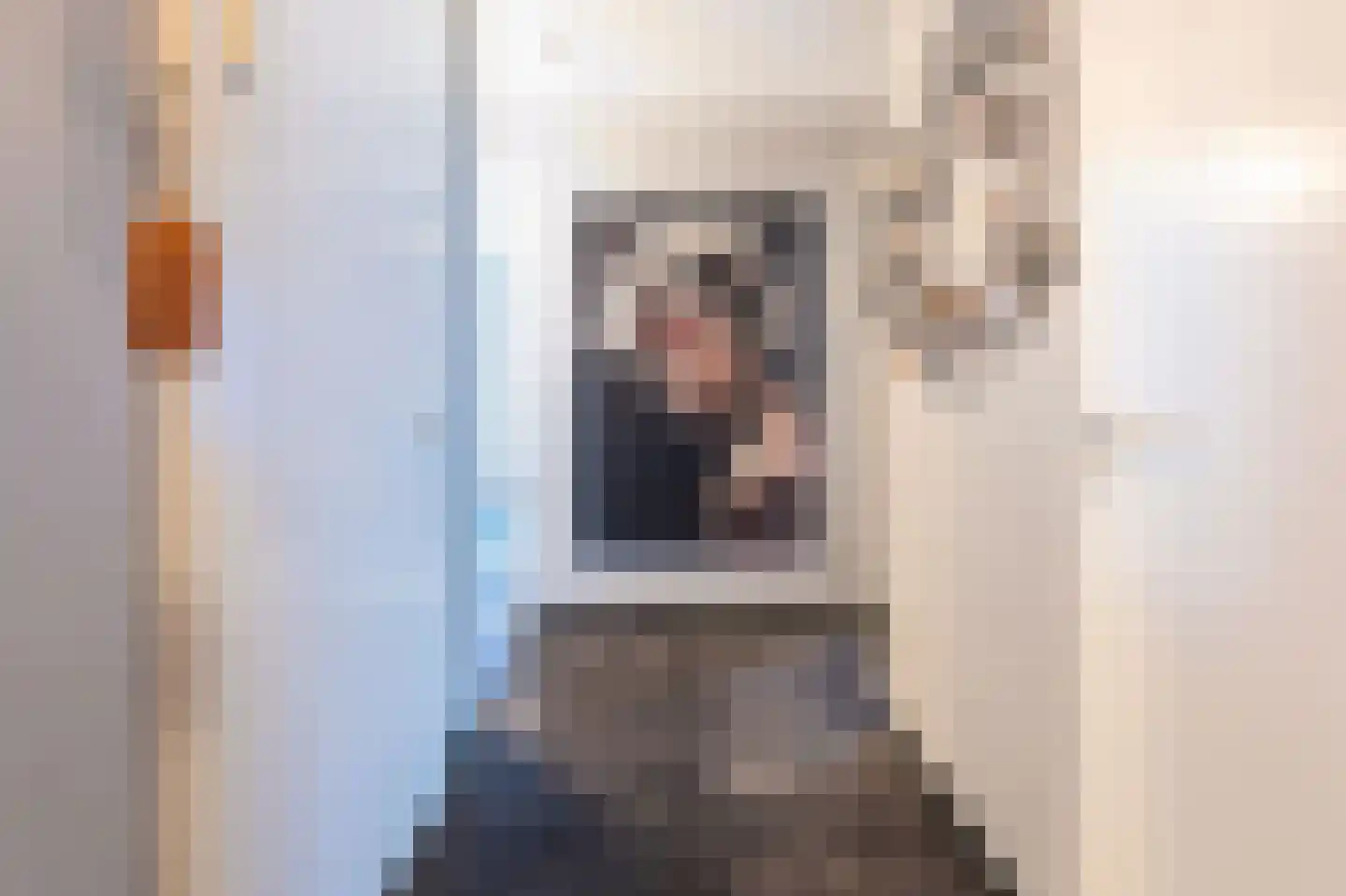 IJsvogel 123 Blokker thumbnail 13