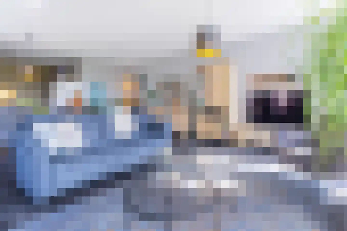 IJsvogel 123 Blokker thumbnail 16