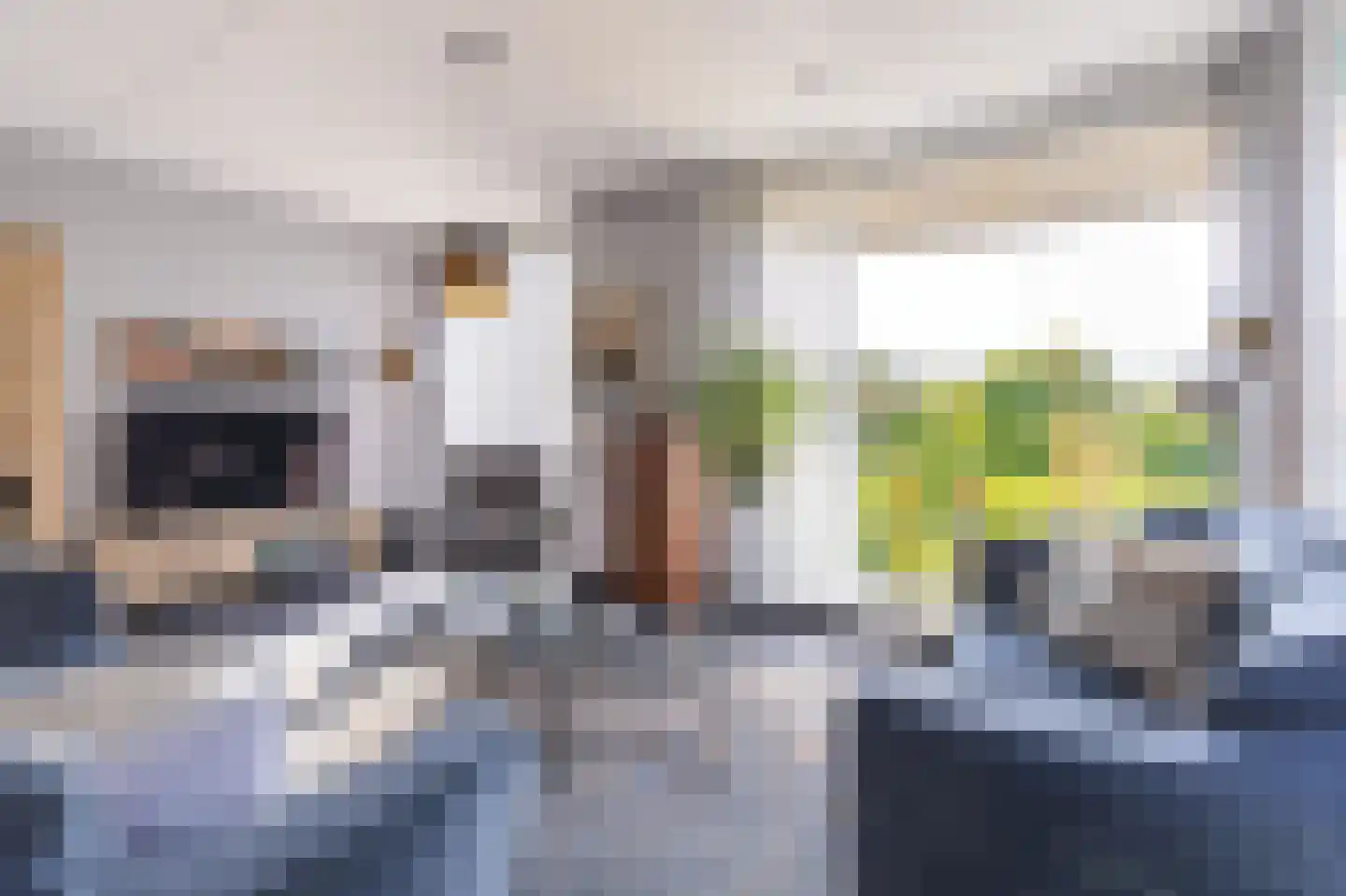 IJsvogel 123 Blokker thumbnail 17