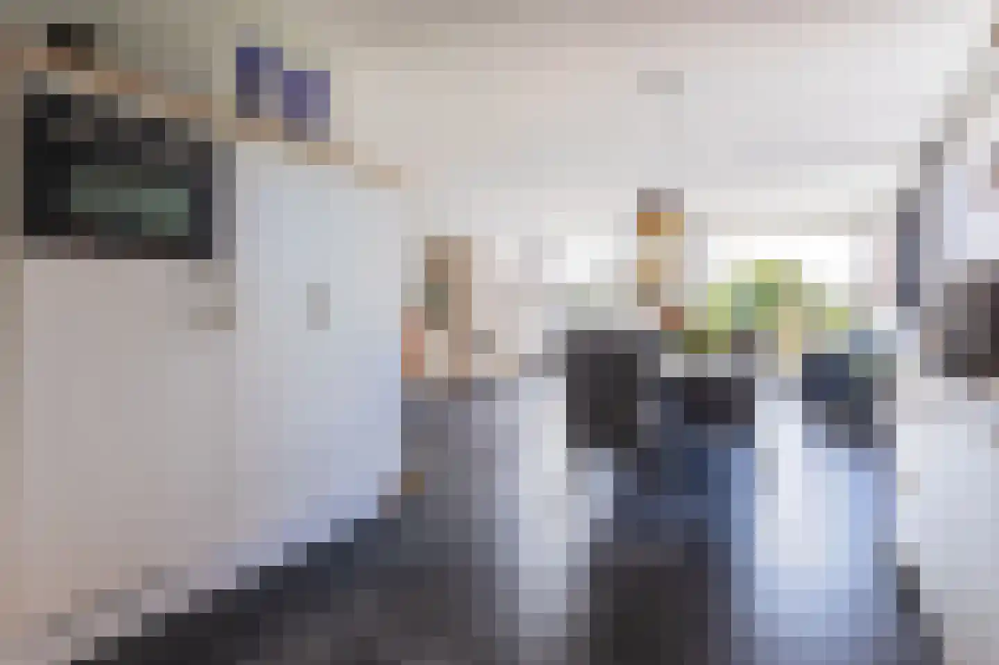 IJsvogel 123 Blokker foto 2