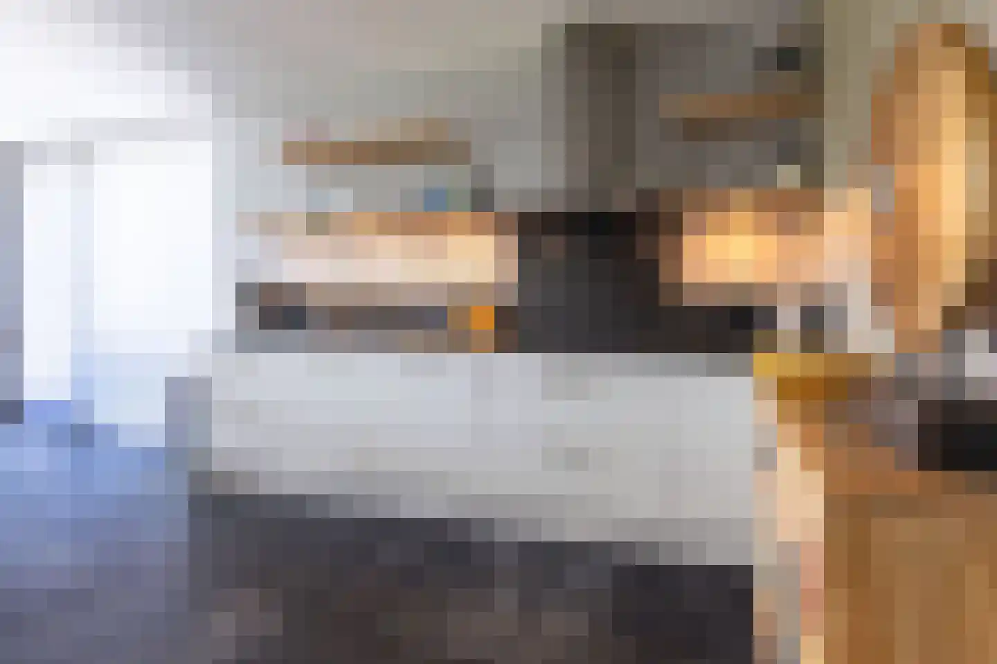 IJsvogel 123 Blokker thumbnail 27