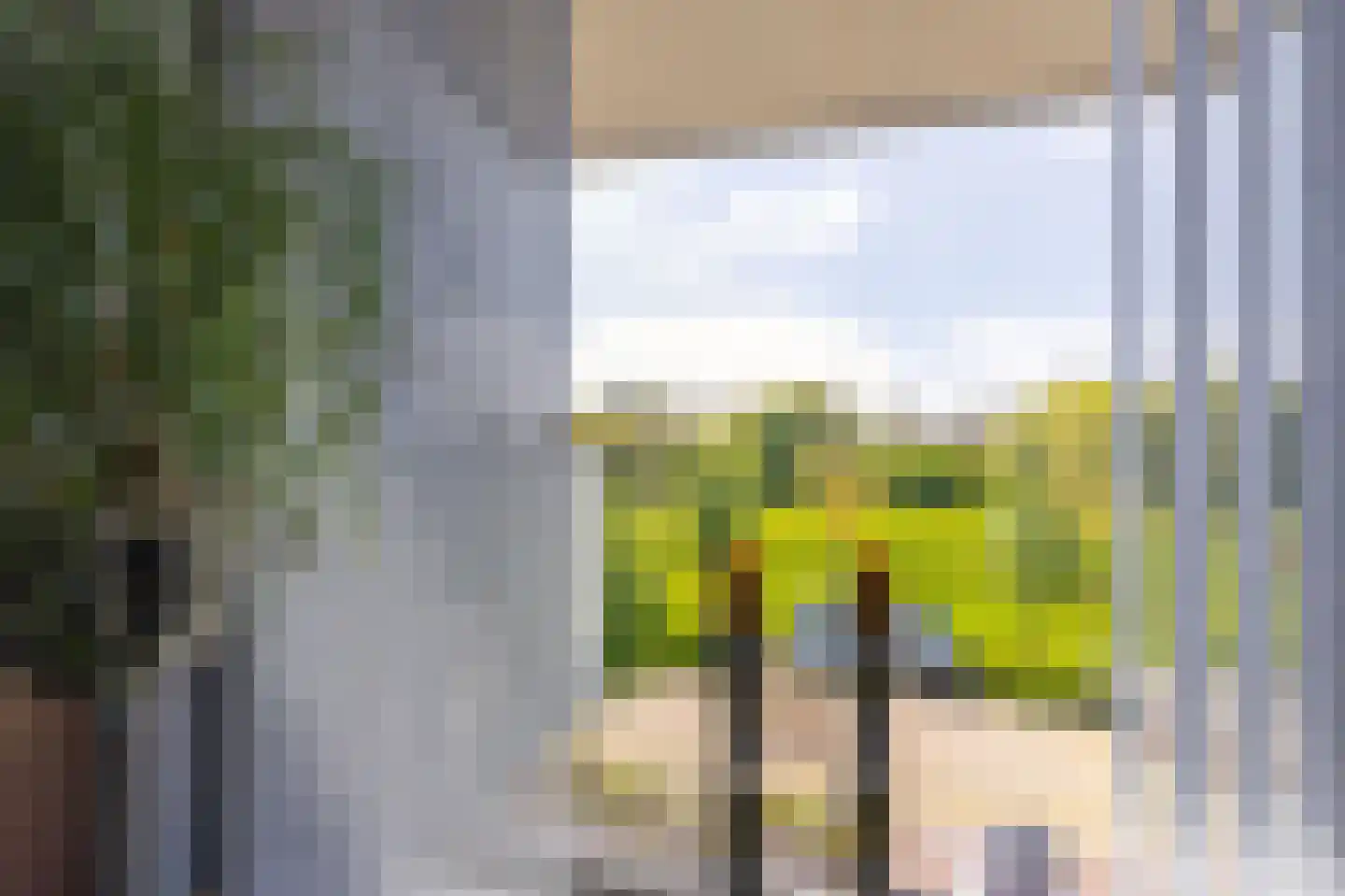 IJsvogel 123 Blokker thumbnail 31