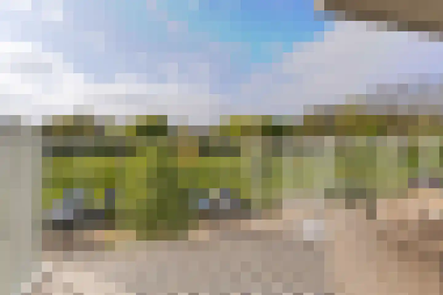 IJsvogel 123 Blokker thumbnail 32