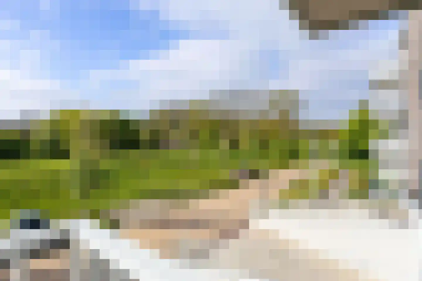 IJsvogel 123 Blokker thumbnail 33