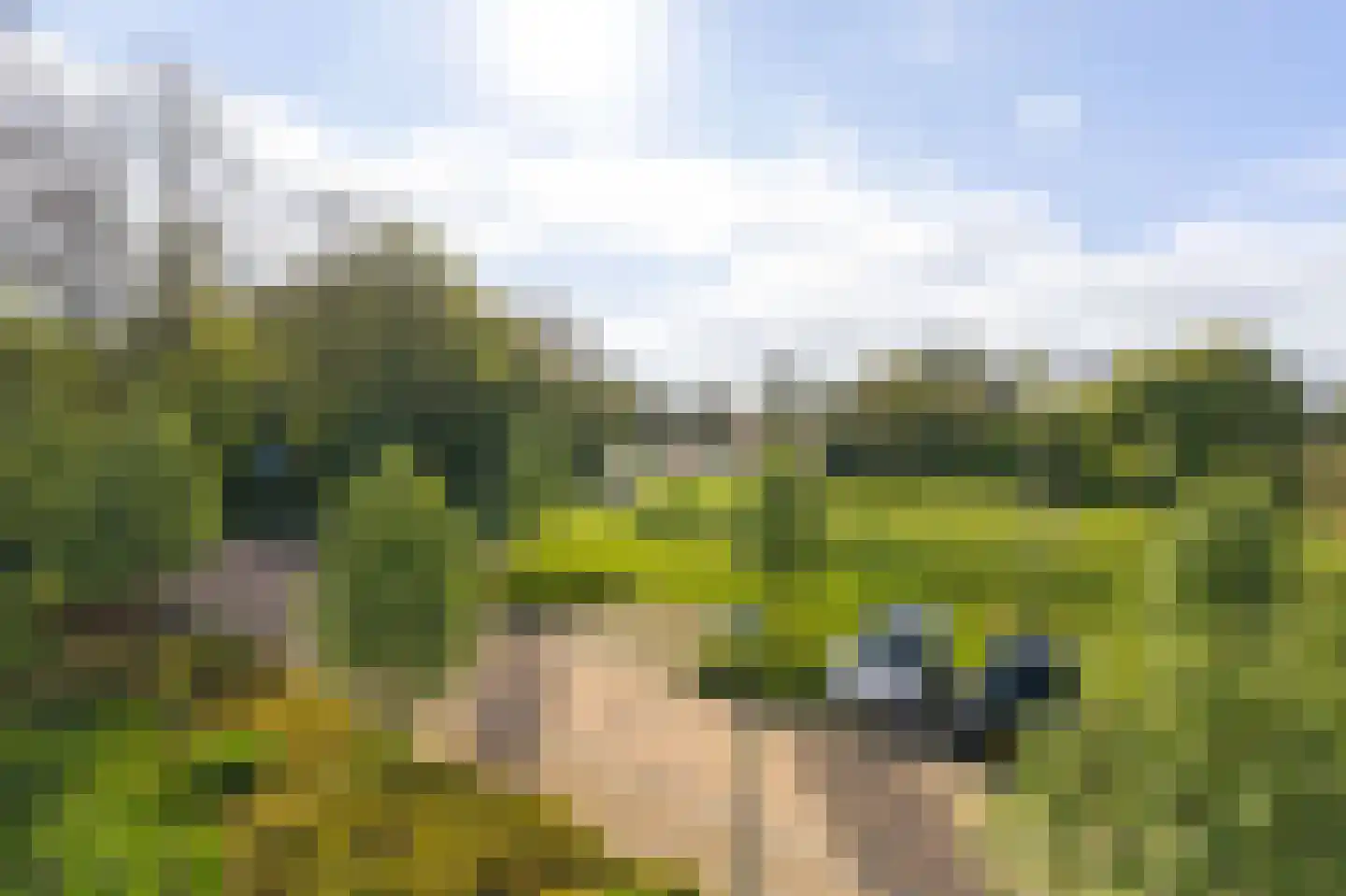 IJsvogel 123 Blokker thumbnail 34
