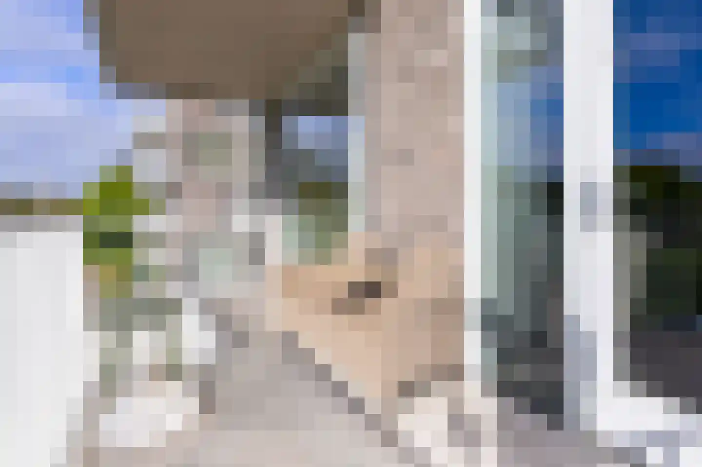 IJsvogel 123 Blokker thumbnail 35