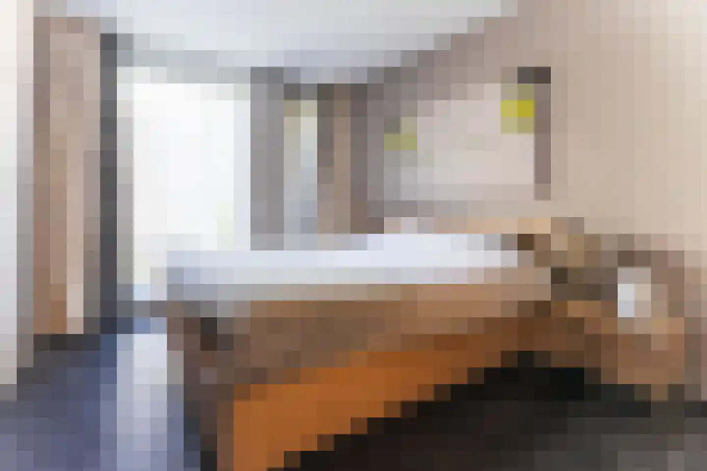 IJsvogel 123 Blokker thumbnail 37
