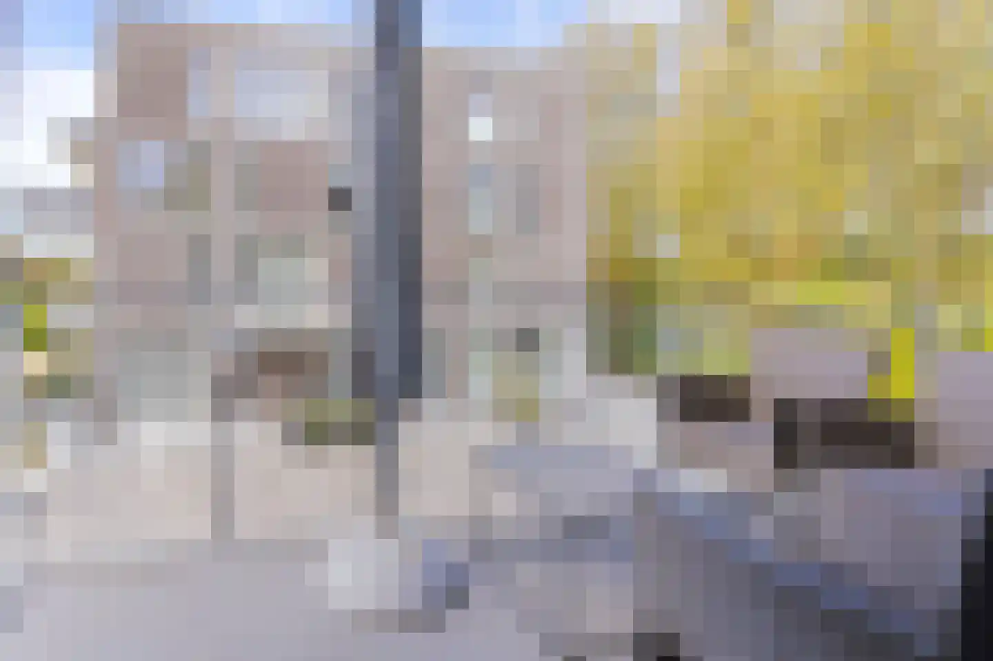 IJsvogel 123 Blokker thumbnail 48
