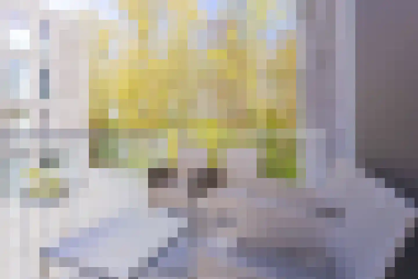 IJsvogel 123 Blokker thumbnail 49