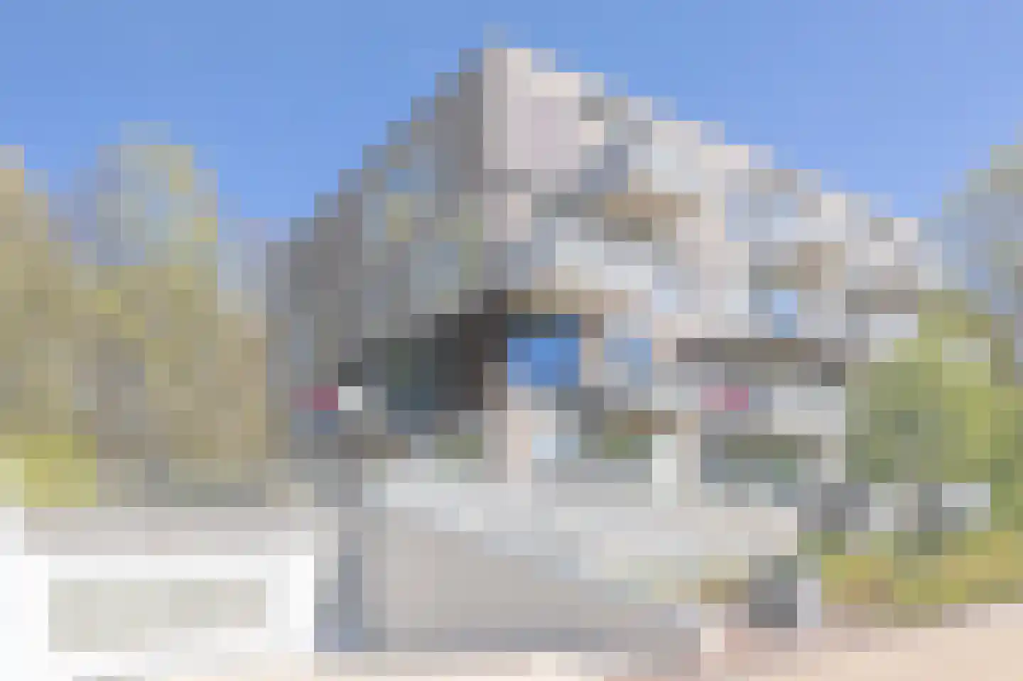 IJsvogel 123 Blokker thumbnail 5