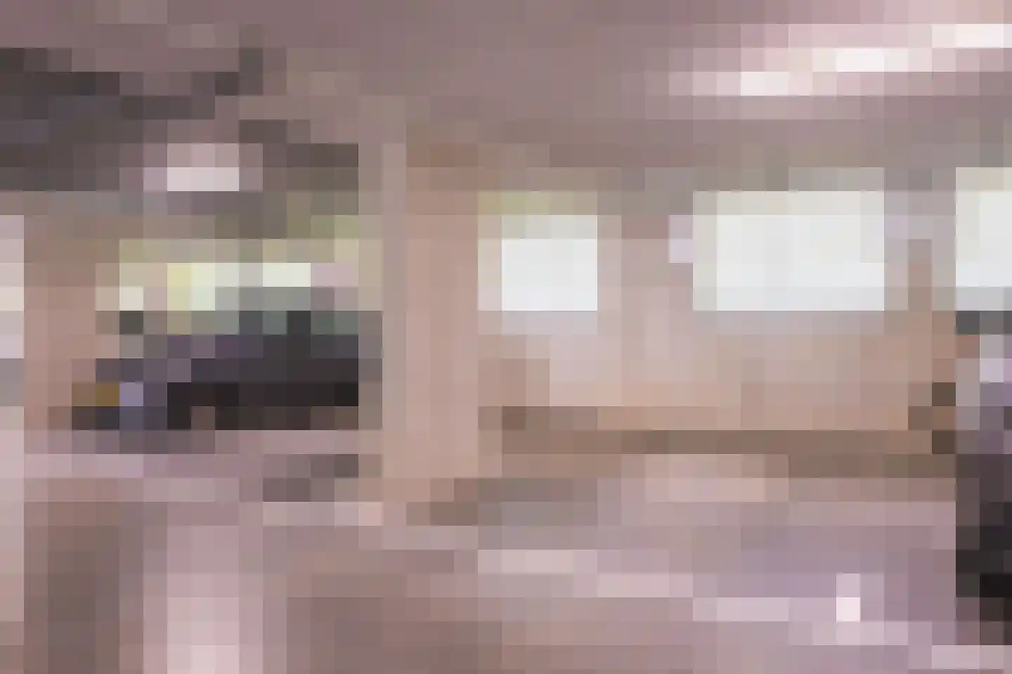 IJsvogel 123 Blokker thumbnail 52