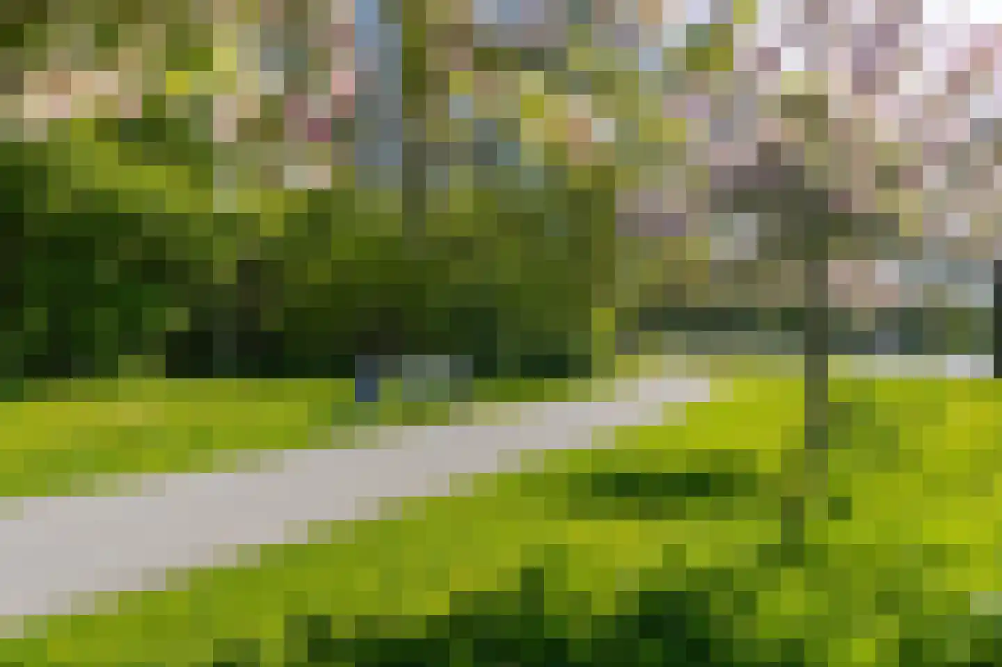IJsvogel 123 Blokker thumbnail 55