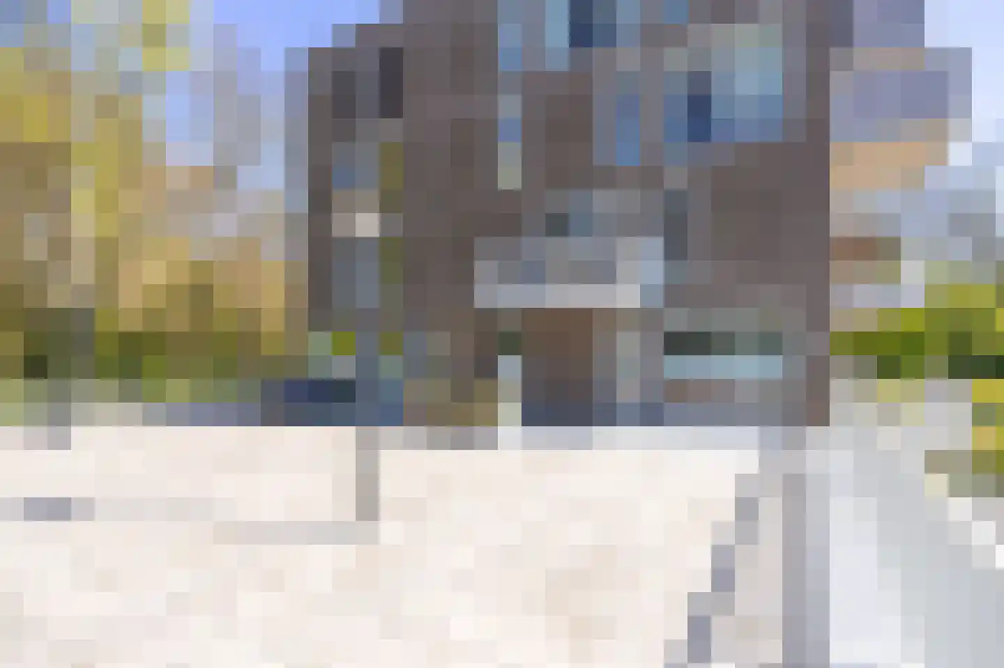 IJsvogel 123 Blokker thumbnail 7