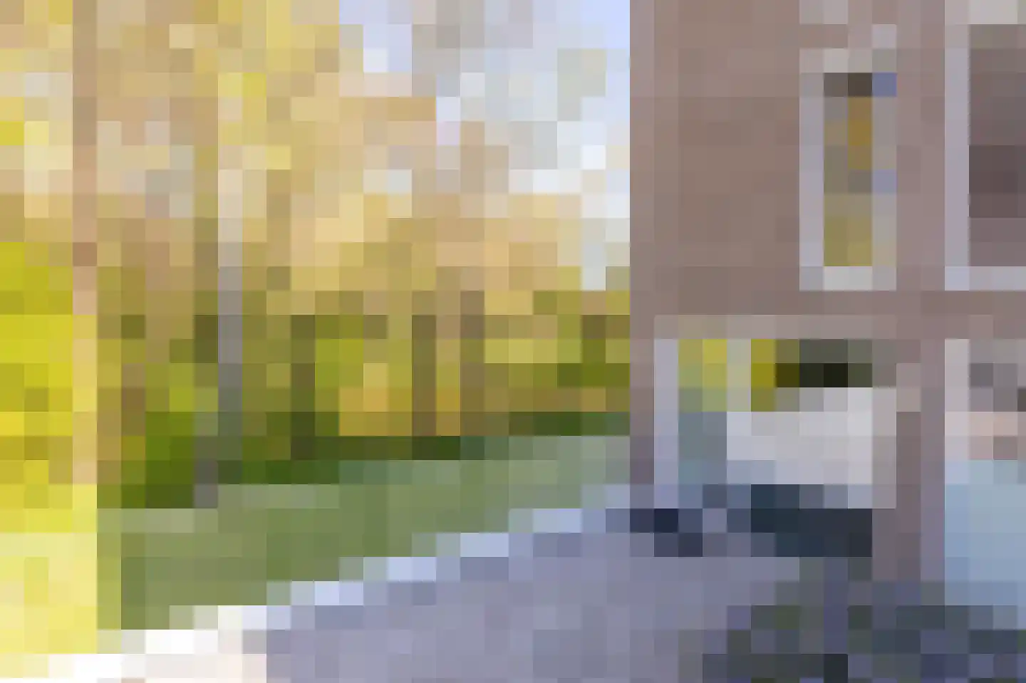 IJsvogel 123 Blokker thumbnail 8