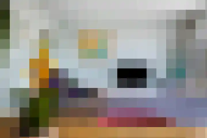 IJsvogel 130 Maarssen thumbnail 12