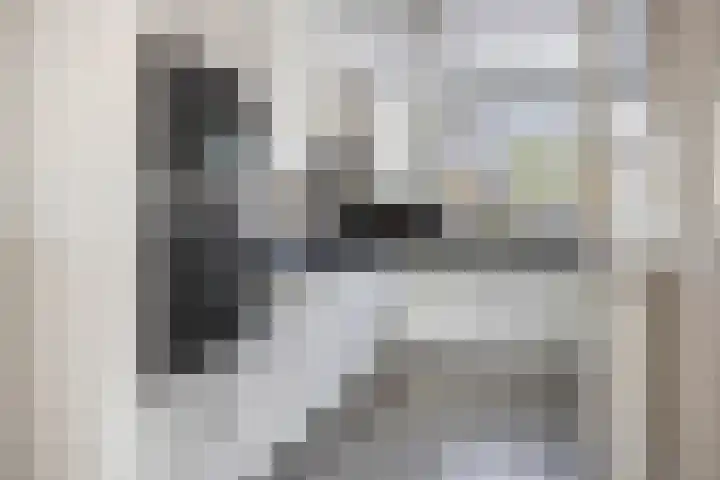 IJsvogel 130 Maarssen thumbnail 13