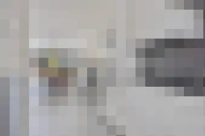 IJsvogel 130 Maarssen thumbnail 14