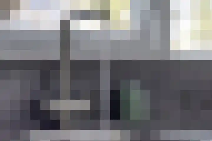 IJsvogel 130 Maarssen thumbnail 15