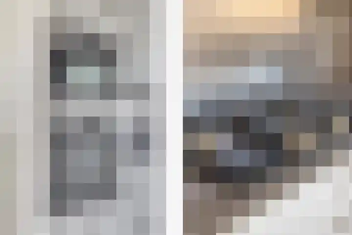 IJsvogel 130 Maarssen thumbnail 16