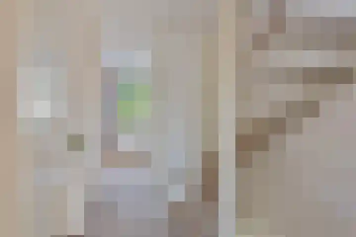 IJsvogel 130 Maarssen thumbnail 17