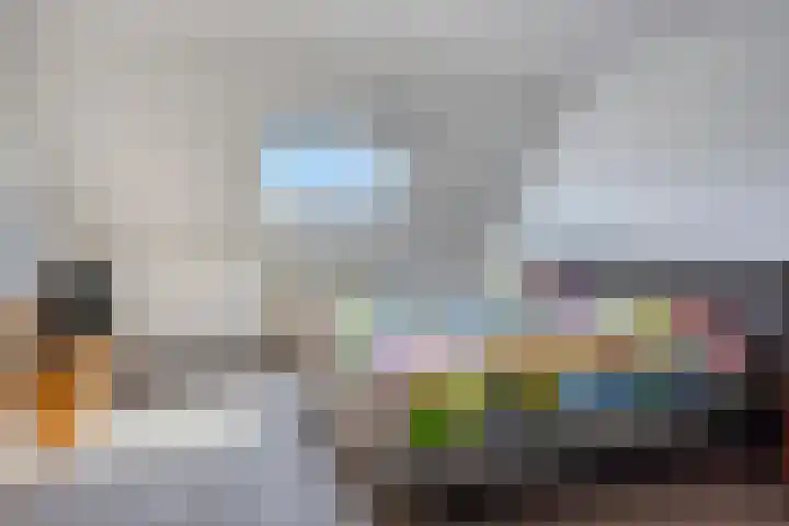IJsvogel 130 Maarssen thumbnail 18