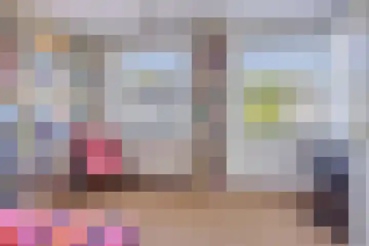 IJsvogel 130 Maarssen thumbnail 21