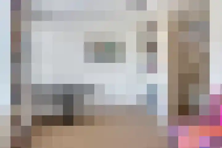 IJsvogel 130 Maarssen thumbnail 22