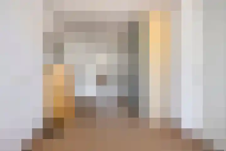 IJsvogel 130 Maarssen thumbnail 23