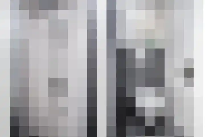 IJsvogel 130 Maarssen thumbnail 26