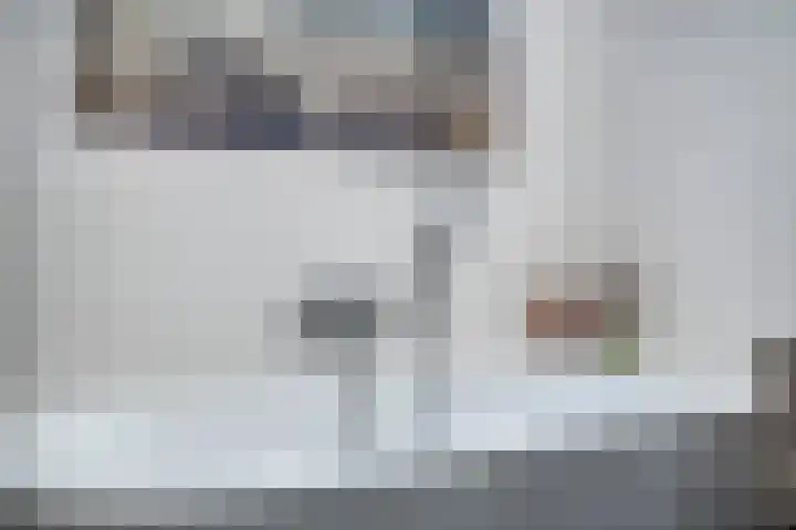 IJsvogel 130 Maarssen thumbnail 27